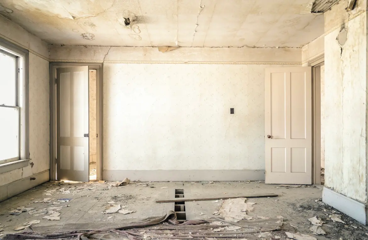 Waste disposal crew managing a cleanout project in Shady Hills